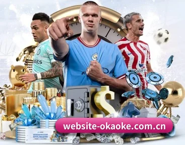 website-okaoke.com.cn的故事